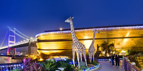 1_1_2_3-Noah-Ark_03.jpg