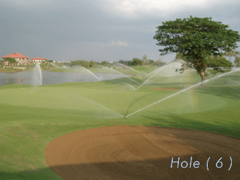 holl06.gif