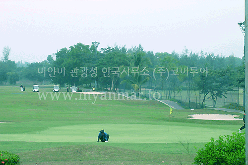 0775_copy.gif