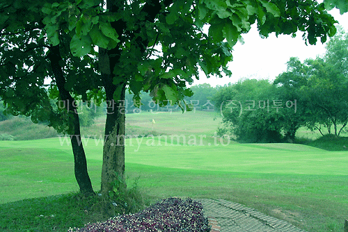 hansawa01_B.gif