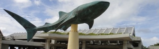 07.jpg