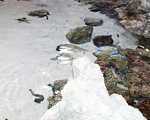 08.jpg