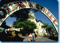 pic_la01.jpg