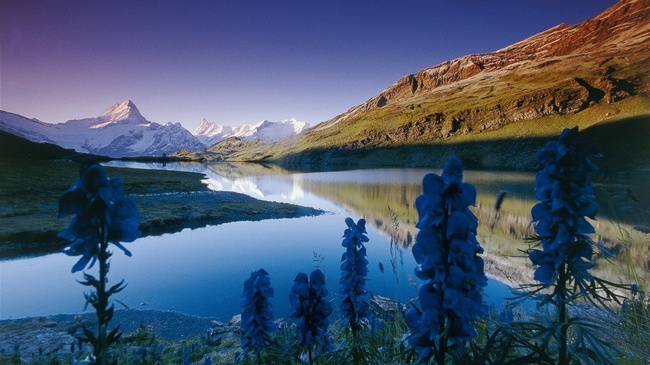 bachalpsee.jpg
