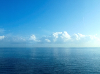 오션제주.jpg
