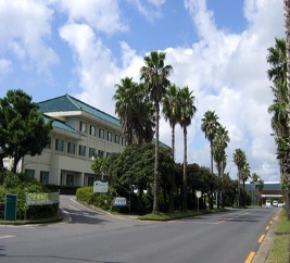 03.jpg