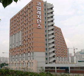 05.jpg